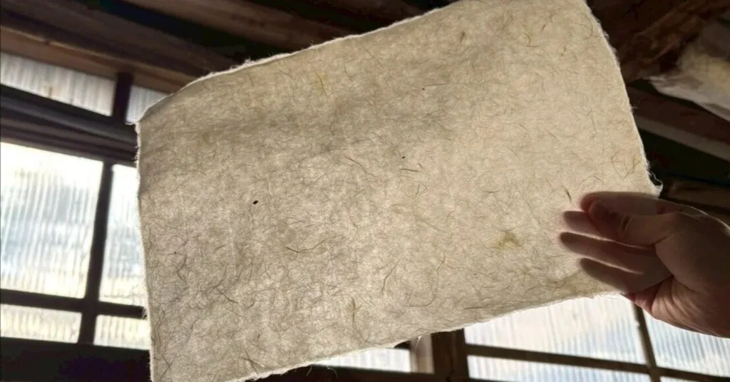 Texture of a fresh sheet of washi